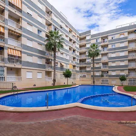 Marinero - El Edificio Navila Xx - * Torrevieja